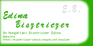 edina bisztriczer business card